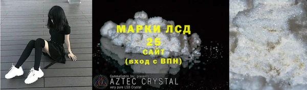 индика Баксан