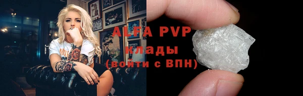 индика Баксан