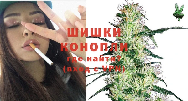 индика Баксан