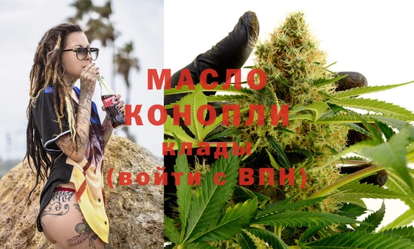 индика Баксан