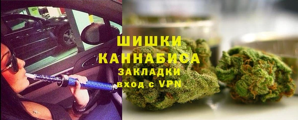 индика Баксан