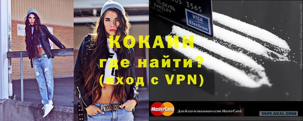 индика Баксан