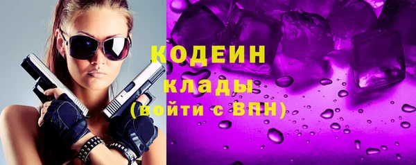 индика Баксан