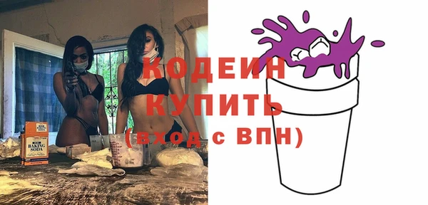 индика Баксан